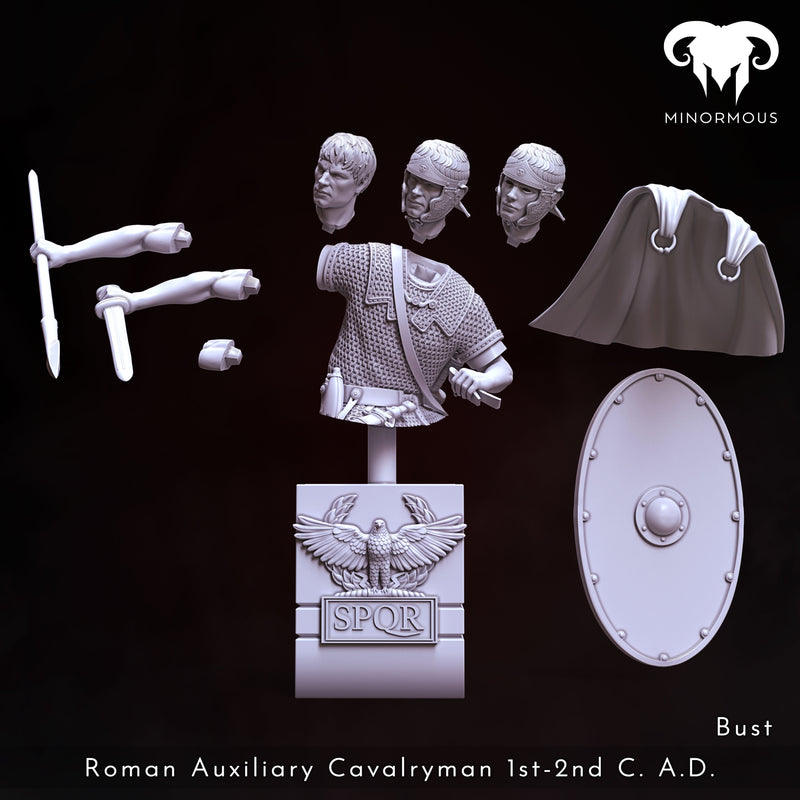 Roman Auxiliary Cavalryman 1st-2nd C. A.D. "Riding with Rome" Bust - 3D Print