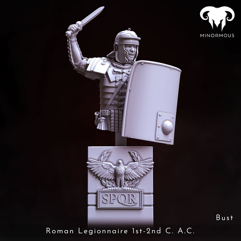 Roman Legionnaire 1st-2nd C. A.C.