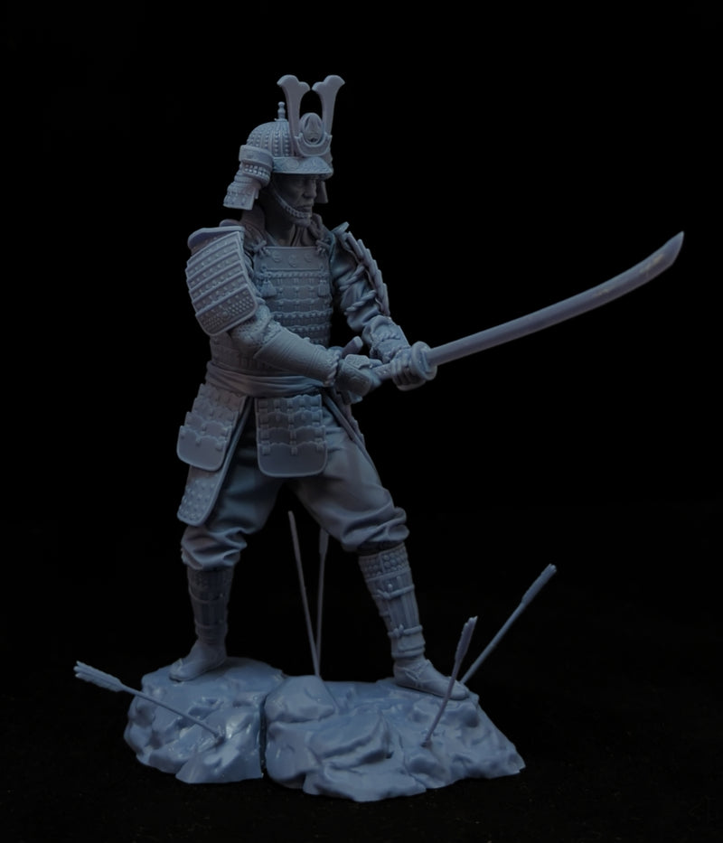 Toranaga Yoshii - 3D Print