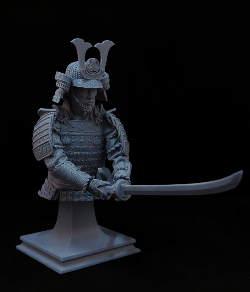 Toranaga Yoshii Bust - 3D Print