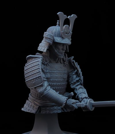 Toranaga Yoshii Bust - 3D Print