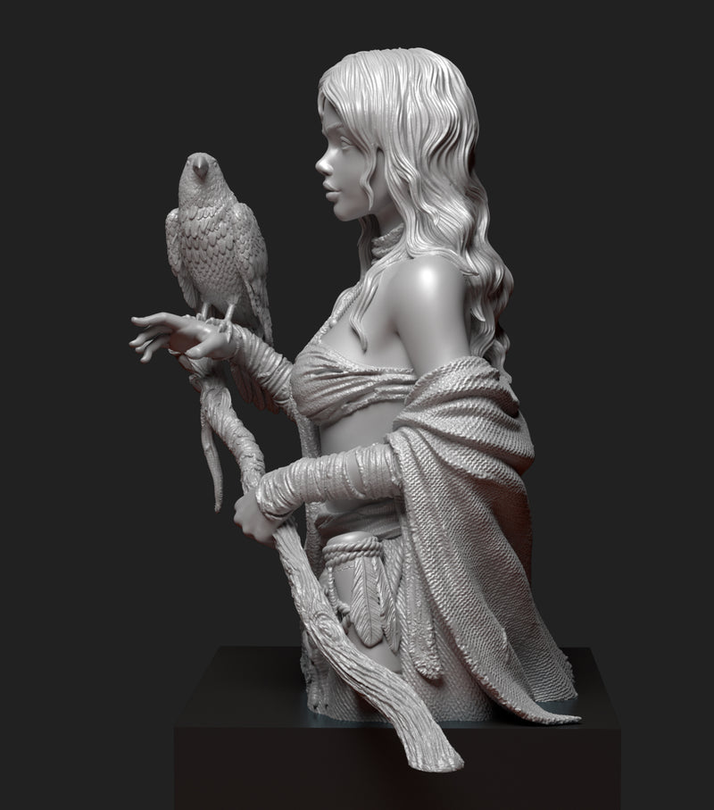 The Pict - 3D Print