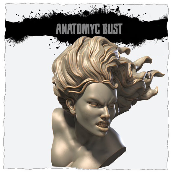 Astrid the Northern - Academic Bust - 3D Print