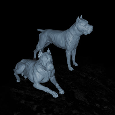 Cane Corso - 3D Print