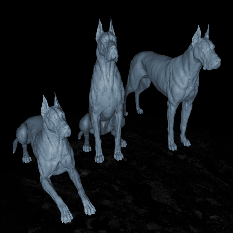 Great Danes - 3D Print