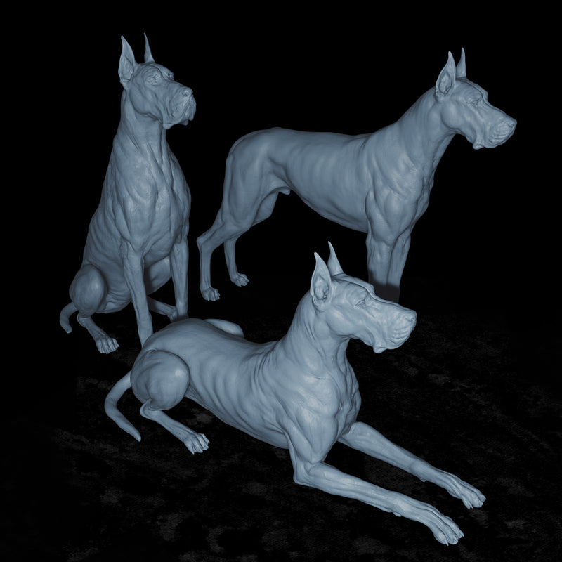 Great Danes - 3D Print