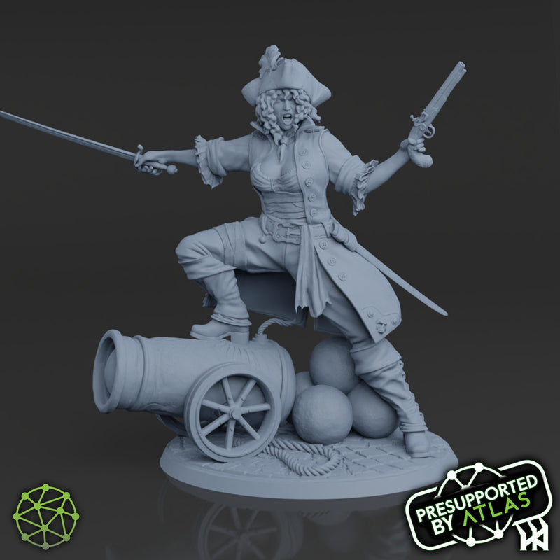 Morgaine the Merciless Pirate - 3D Print