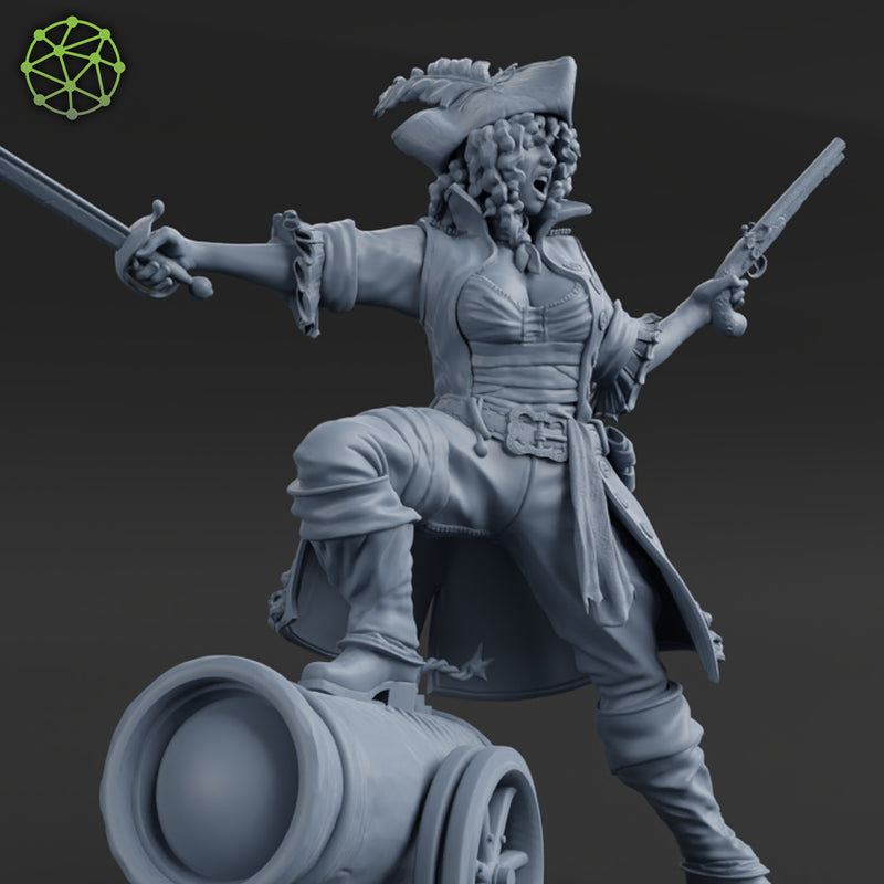 Morgaine the Merciless Pirate - 3D Print