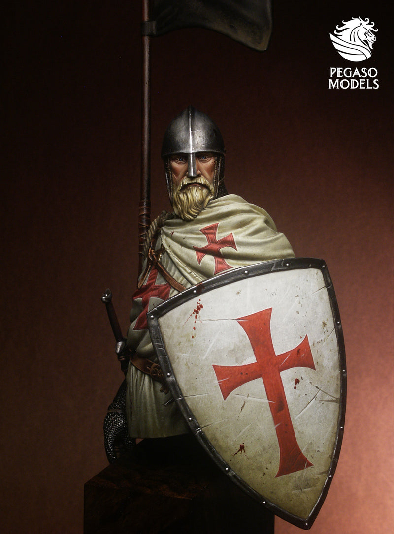 Templar Knight XI cen.