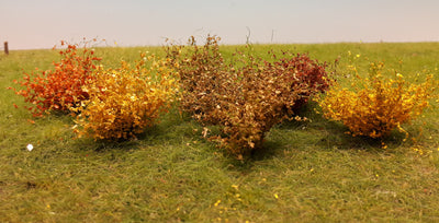 Selection of Shrubs, Autumn - 5cm