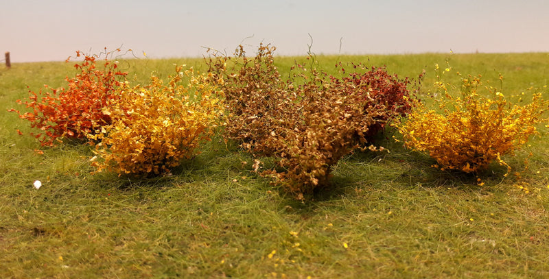 Selection of Shrubs, Autumn - 5cm