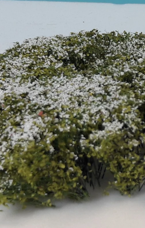 Shrubbery - White