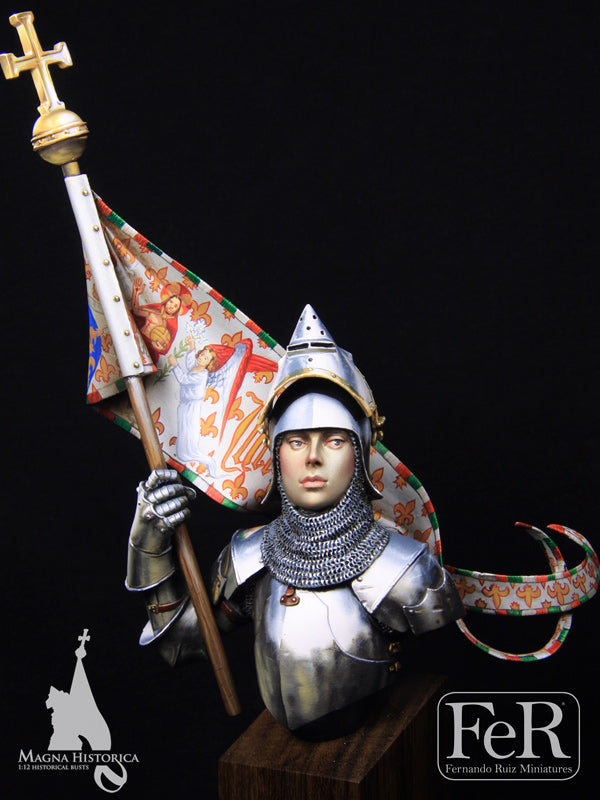 Jeanne d’Arc, Orleans, 1429 DEFINITIVE EDITION