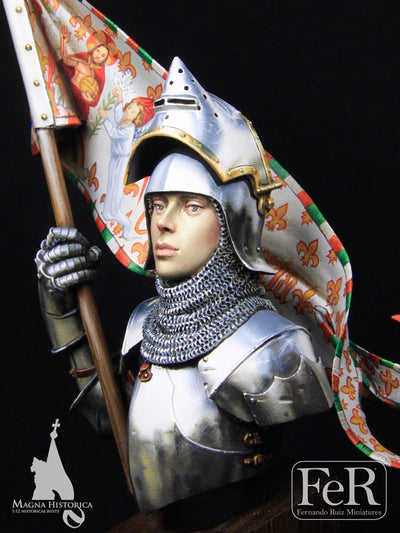 Jeanne d’Arc, Orleans, 1429 DEFINITIVE EDITION