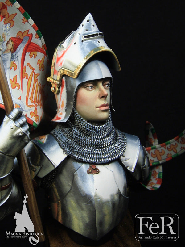Jeanne d’Arc, Orleans, 1429 DEFINITIVE EDITION