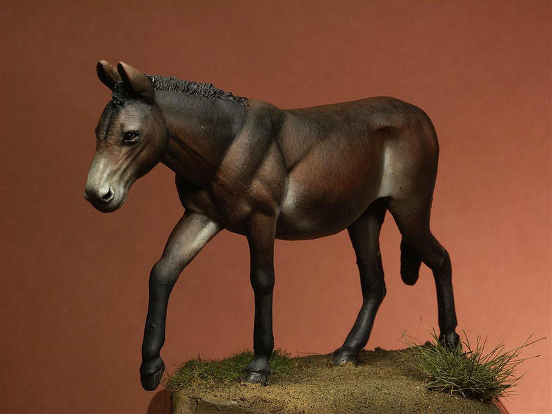 Mule