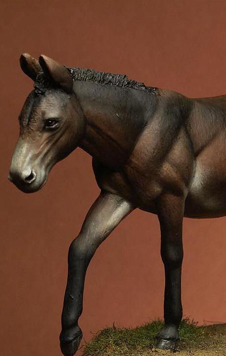Mule