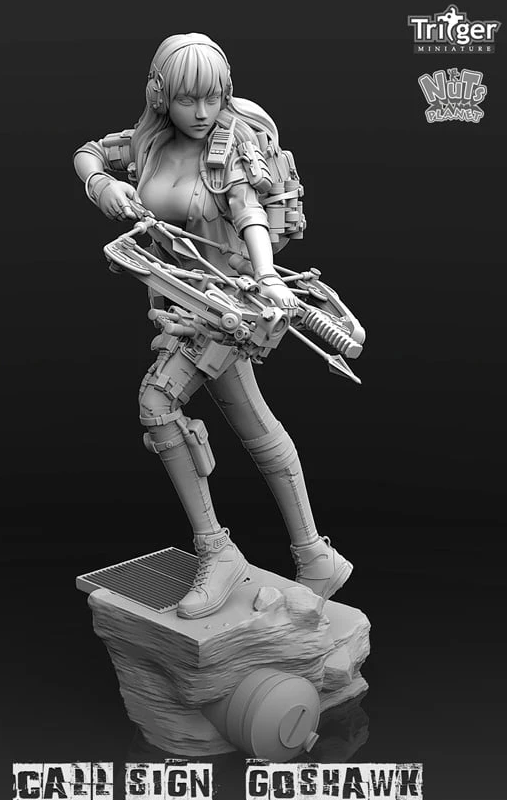 Call Sign Goshwak (1/35mm)