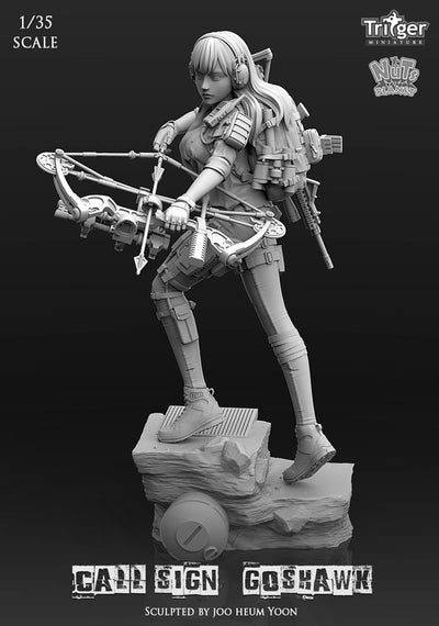 Call Sign Goshwak (1/35mm)