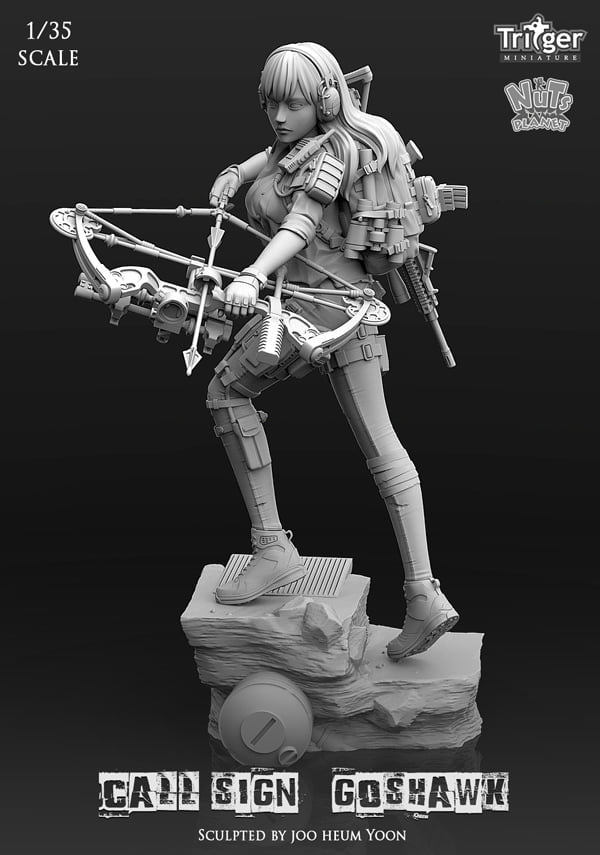 Call Sign Goshwak (1/35mm)