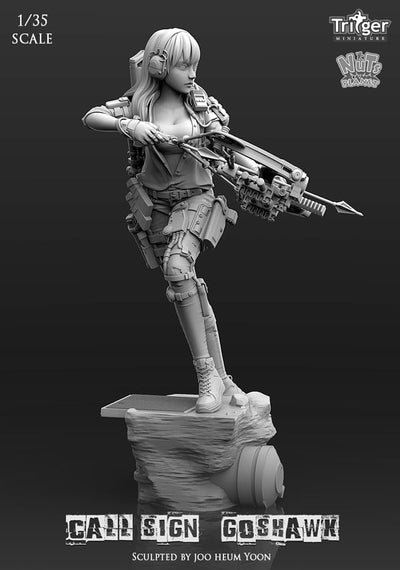 Call Sign Goshwak (1/35mm)