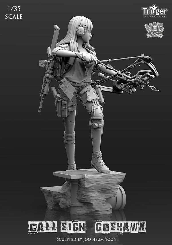 Call Sign Goshwak (1/35mm)