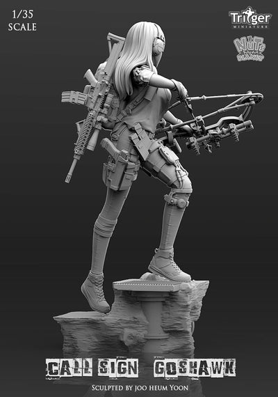 Call Sign Goshwak (1/35mm)