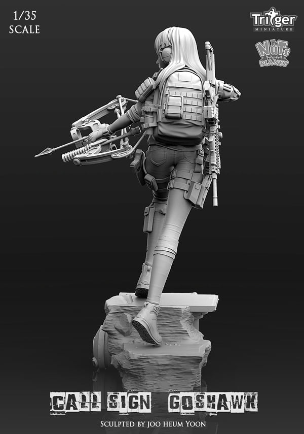 Call Sign Goshwak (1/35mm)