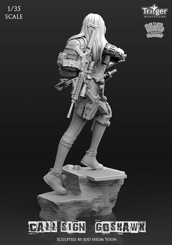 Call Sign Goshwak (1/35mm)