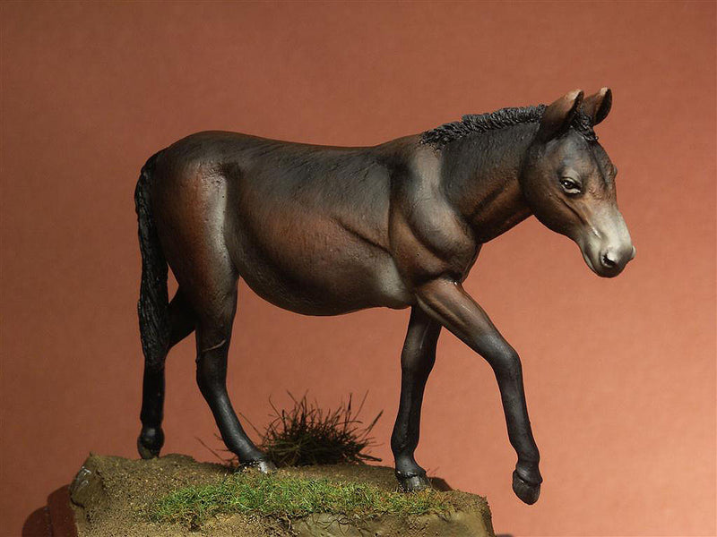 Mule