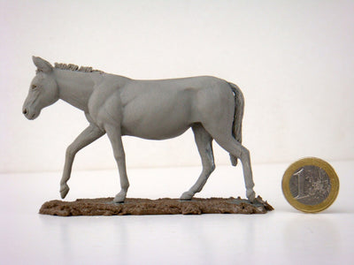 Mule