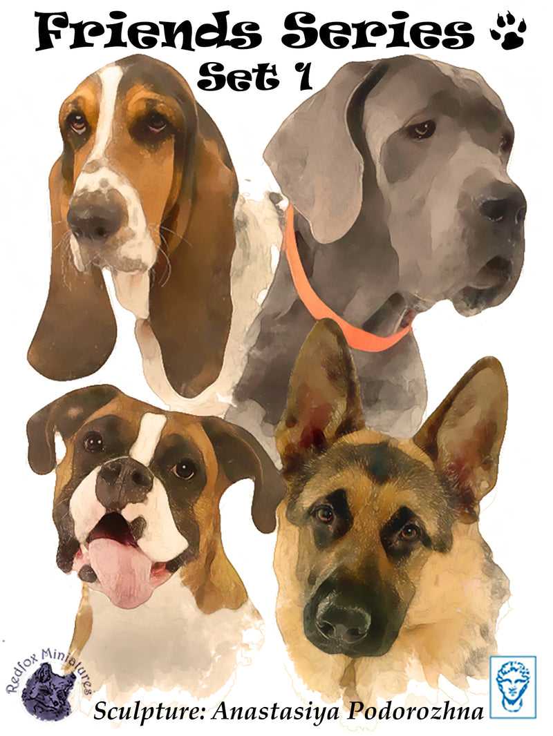 DOG SET 1