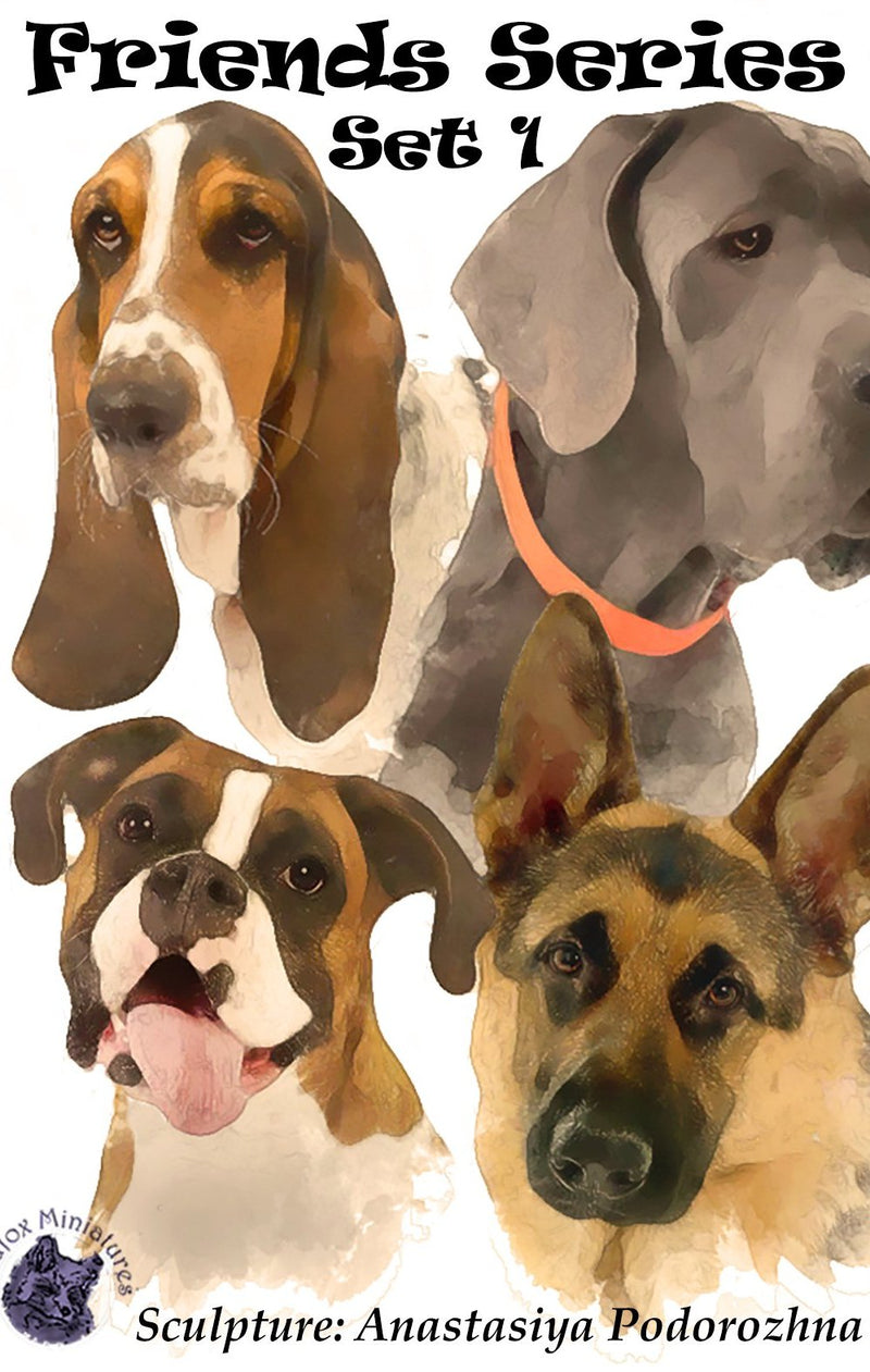 DOG SET 1