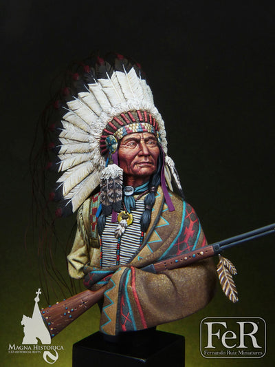 Sioux Chief Little Big Horn, 1876