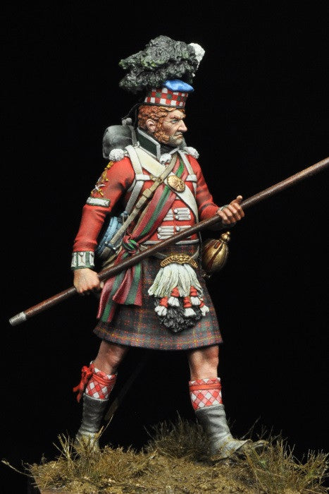 Sargeant 79th Cameron Highlanders, Napoleonic Wars