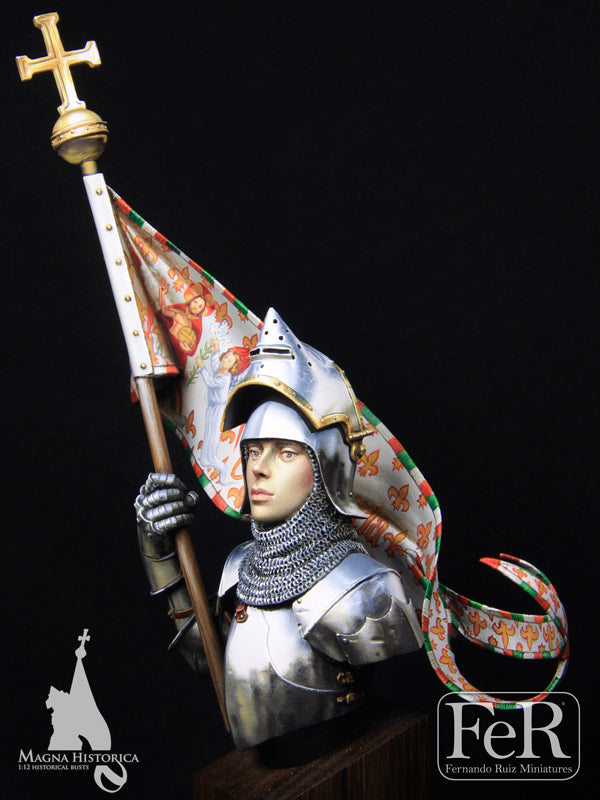 Jeanne d’Arc, Orleans, 1429 DEFINITIVE EDITION