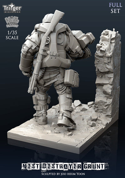 Nest Destroyer Grunt - Full Set
