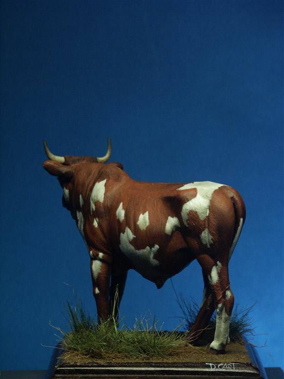 Ayrshire Cow