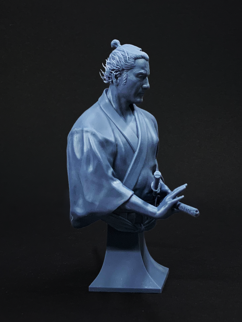 Ronin 1/9 Bust - 3D Print