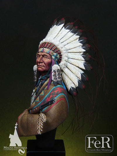 Sioux Chief Little Big Horn, 1876