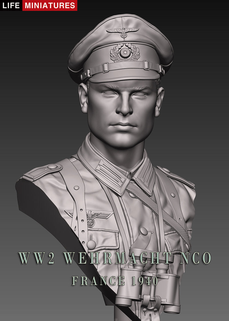WW2 Wehrmacht NCO, France 1940