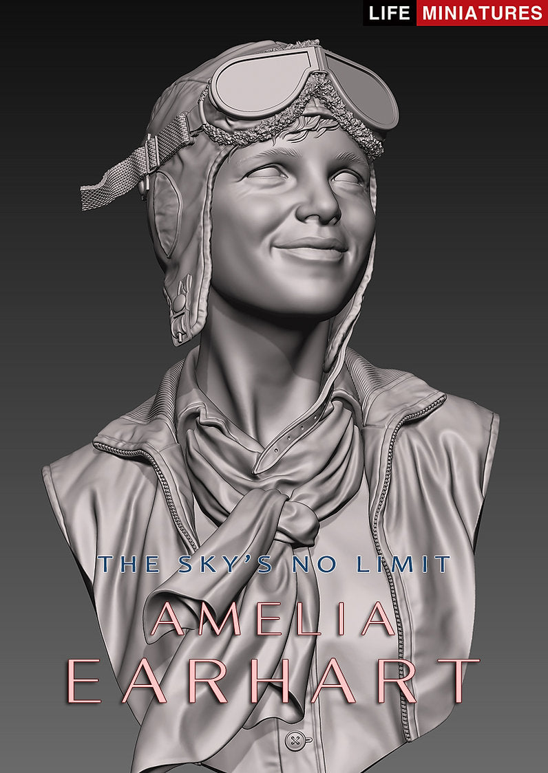 The Sky's No Limit - Amelia Earhart - Life Miniatures - El Greco ...