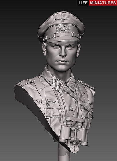 WW2 Wehrmacht NCO, France 1940