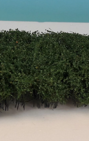 Shrubbery - Summer