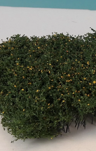 Shrubbery - Early Fall