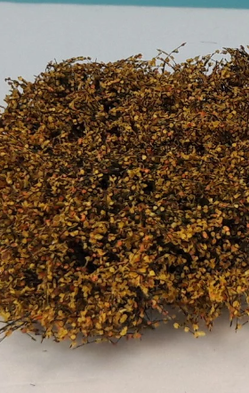 Shrubbery - Late Fall