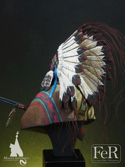 Sioux Chief Little Big Horn, 1876