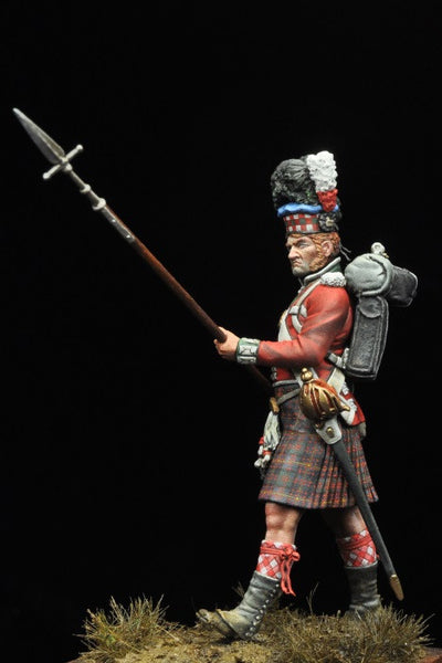 Sargeant 79th Cameron Highlanders, Napoleonic Wars