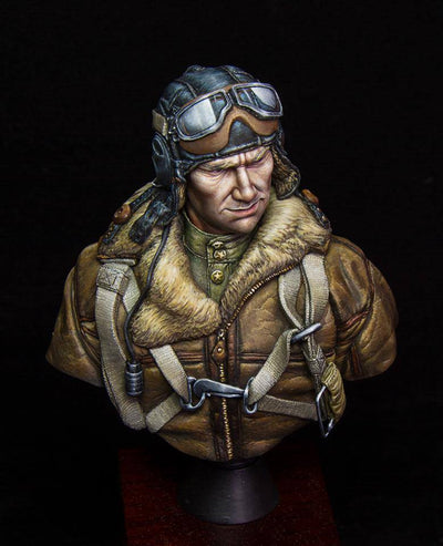 Soviet Fighter Pilot