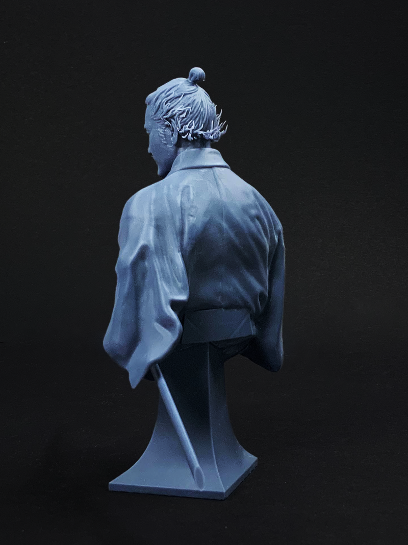 Ronin 1/9 Bust - 3D Print